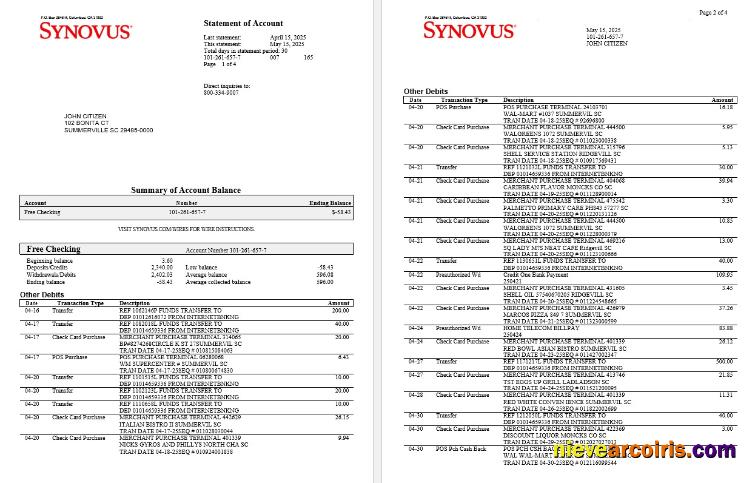 USA Synovus Bank statement Word and PDF, 4 pages